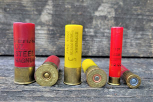 Shotshells, 12ga, 20ga, and .410 Bore