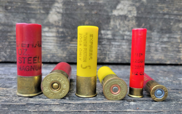 Best .410 Bore Guns: Not Just for the Kiddos