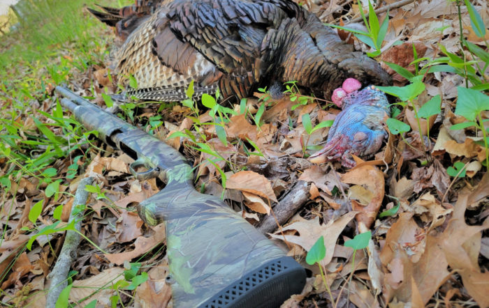 12-Gauge vs 20-Gauge Shotguns: Does Size Matter?