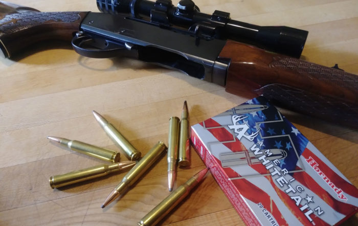 Best .30-06 Ammo: Feeding the Warhorse