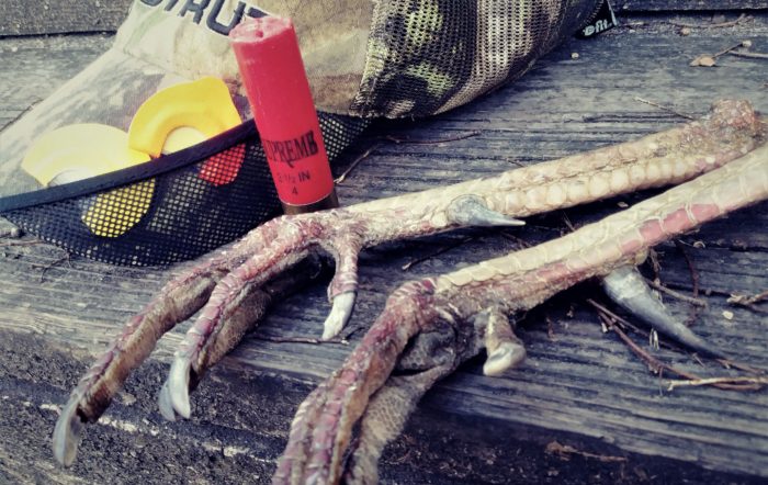 Best 12 Gauge Ammo: Top Loads for Defense, Deer, Ducks, and More [2025]