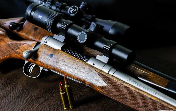 Best .300 Savage Ammo: Can The Father of .308 Winchester Still Keep Up?