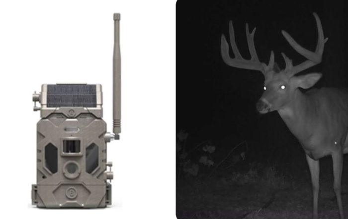 First Look: Bushnell CelluCORE 20 Solar Trail Camera