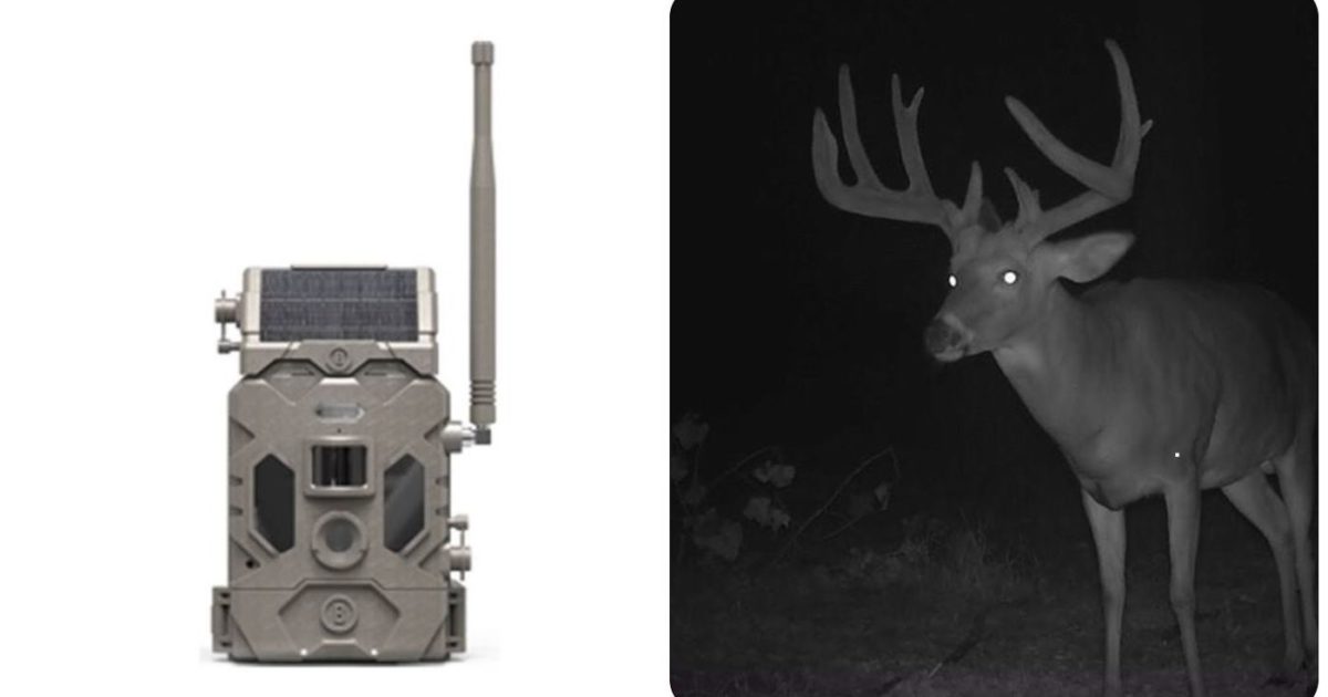 First Look Bushnell CelluCORE 20 Solar Trail Camera RECOIL