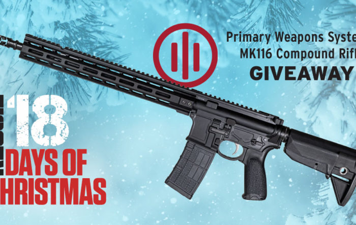 12 Days of Christmas 2022 – Day 12 – Primary Weapons Systems