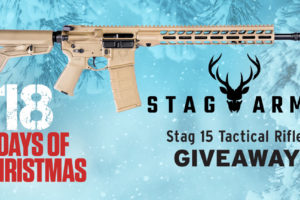 12 Days of Christmas 2022 – Day 16 – Stag Arms