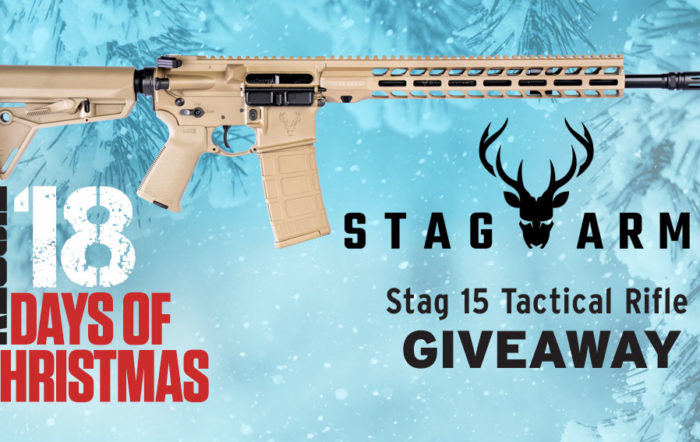 12 Days of Christmas 2022 – Day 16 – Stag Arms