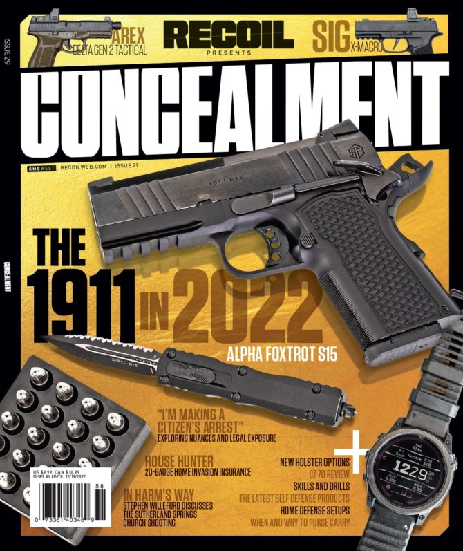 CONCEALMENT #29