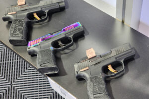 Best .380 ACP Ammo For Carry, Training, & More [2025]