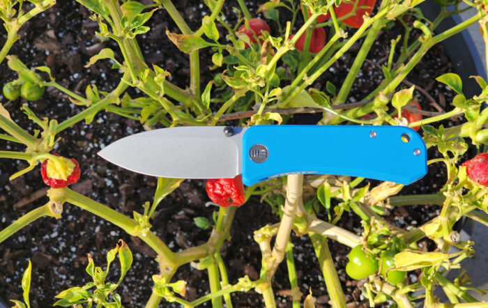 WE Knife Banter: EDC Simplified [Hands-On Review]