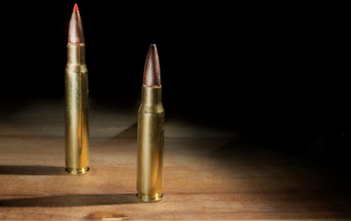 .308 Winchester Vs. .30-06 Springfield: Battle Of The 30 Cals