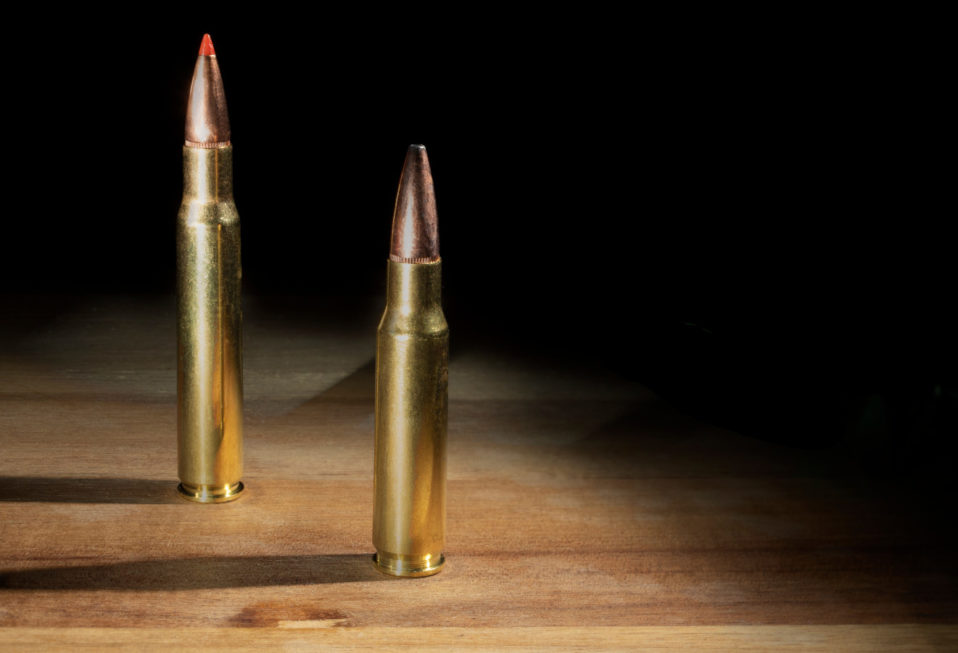 .308 Winchester Vs. .3006 Springfield Battle Of The 30 Cals RECOIL