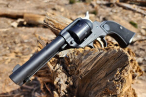 Ruger Wrangler .22 LR Revolver: Best Gun To Teach New Shooters? [Review]