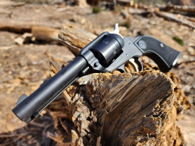 Ruger Wrangler .22 LR Revolver: Best Gun To Teach New Shooters? [Review]