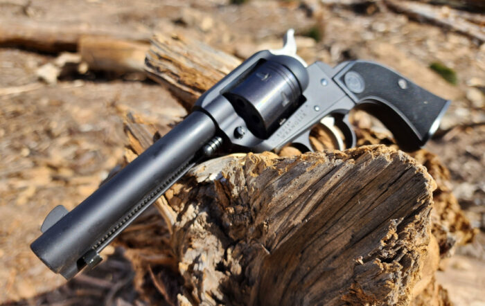 Ruger Wrangler .22 LR Revolver: Best Gun To Teach New Shooters? [Review]