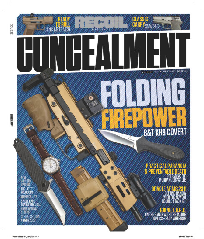 CONCEALMENT #32