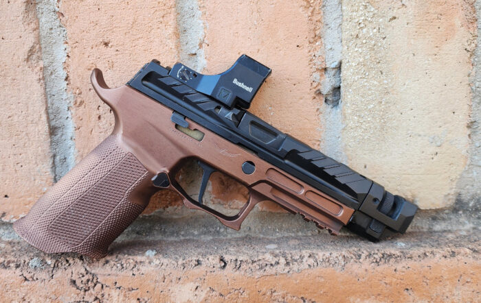 Bushnell RXM-300: Big Window Red Dot [Hands-On Review]