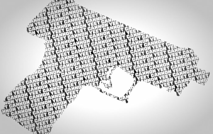 Hi-Point Yeet Cannon YC9: Finally Shipping