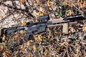 Palmetto State Armory SABRE 10.5-Inch Pistol [Review]