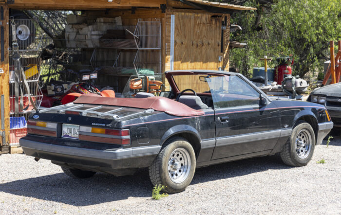 Guardian Garage: Restoring Hearts And Minds