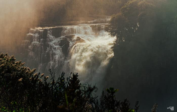 Salvation In Africa: One Marine’s Journey Back From The Edge