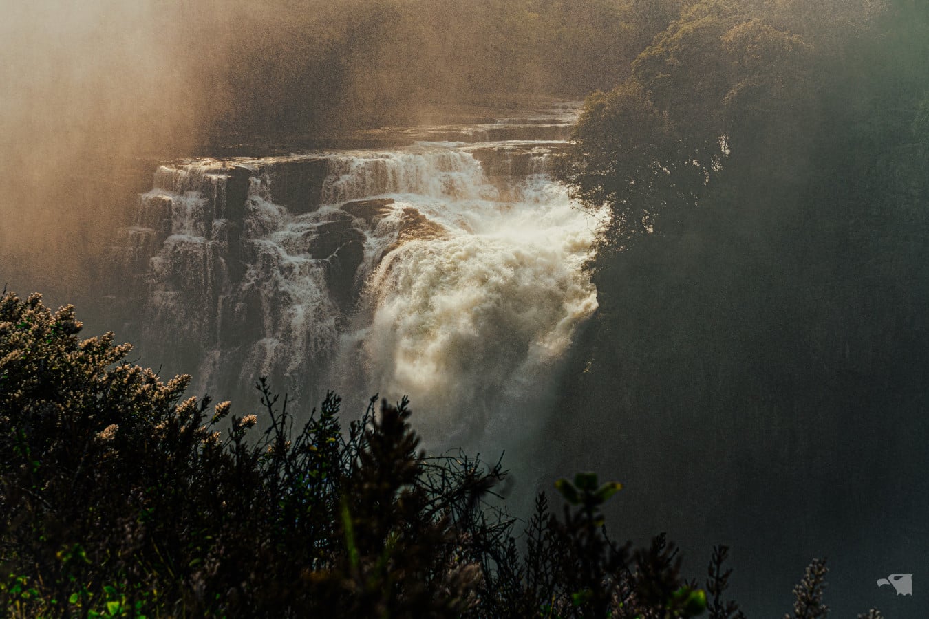 Salvation In Africa: One Marine’s Journey Back From The Edge