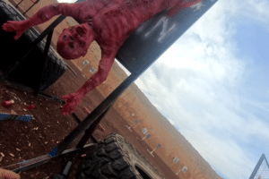 InRangeTV CQB Brutality-West 2025