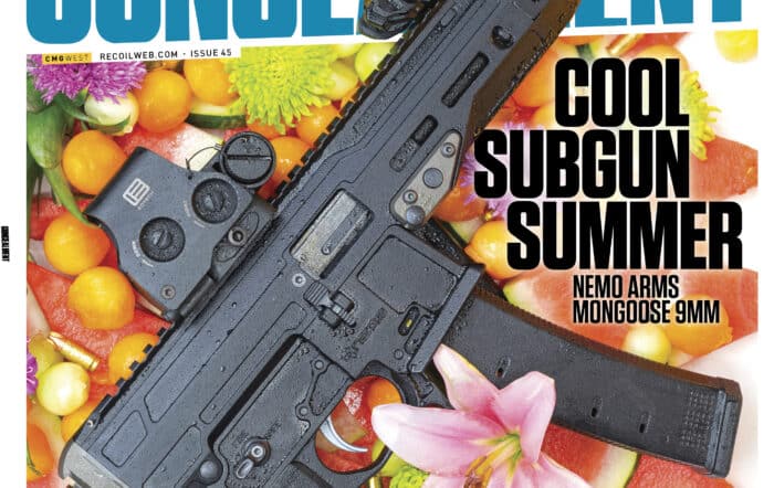CONCEALMENT #45