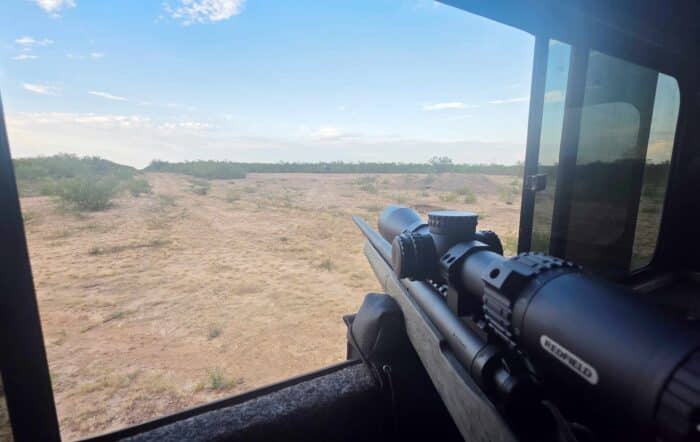Doves & Hogs In South Texas: An Ideal Beginner’s Hunt