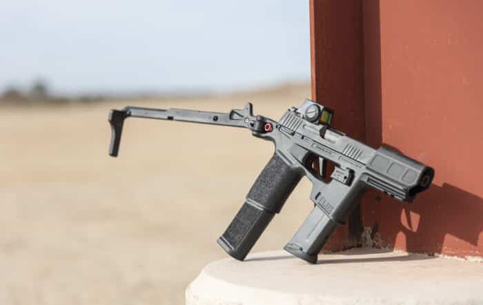 This Gun Flux: SIG Sauer P365-FLUX [REVIEW]