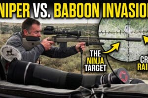 Sniper Vs. Baboon Invasion: Ultimate Varmint Hunting [VIDEO]