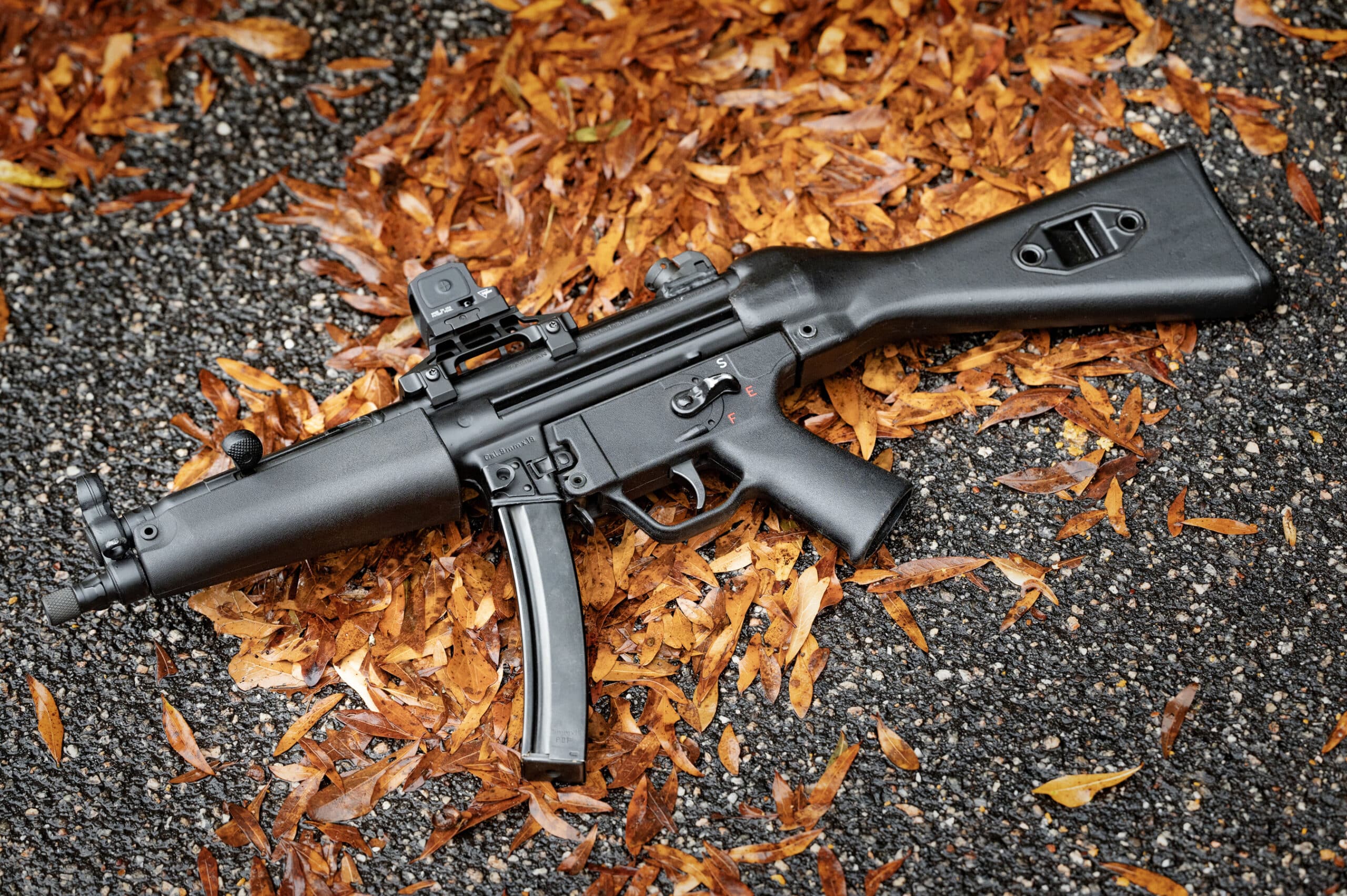 Ultimate Roller Delayed Guide: Everything You Wanted to Know And Were Too Afraid to Ask