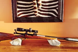 338 ARC: The Big Little Cartridge That Packs a Punch